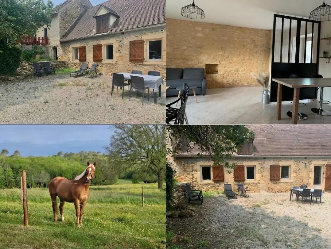 Maison Chaleureuse A La Campagne Payrignac